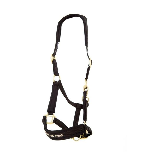Back on Track Halfer Werano Pony