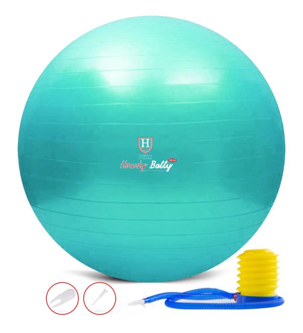 Harrison Howard Mega Horse Play Ball Anti-Burst Giant Horse Ball Horse Soccer Ball 25" Turquoise