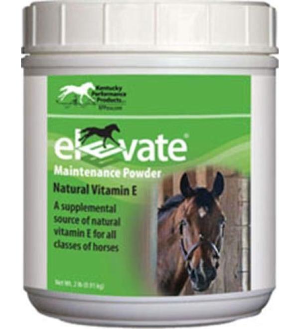 Kentucky Performance Prod 044097 Elevate Maintenance Powder Supplement for Horses, 2 lb