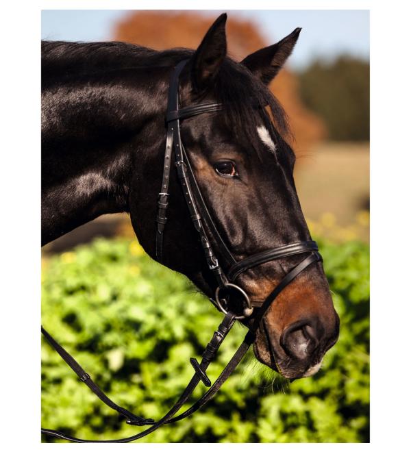 Kerbl 321743 Bridle Standard Leather for Thoroughbred brown Brown Thoroughbred