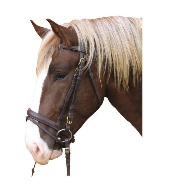 Kerbl cold-blood bridle brown 1 piece (1 pack)