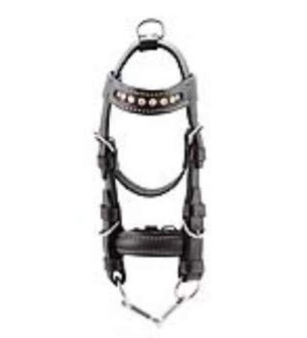 PFIFF Mini bridle black-pink Black/pink