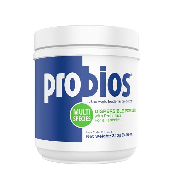 Probios Vet Plus Dispersible Digestive Powder 240gm