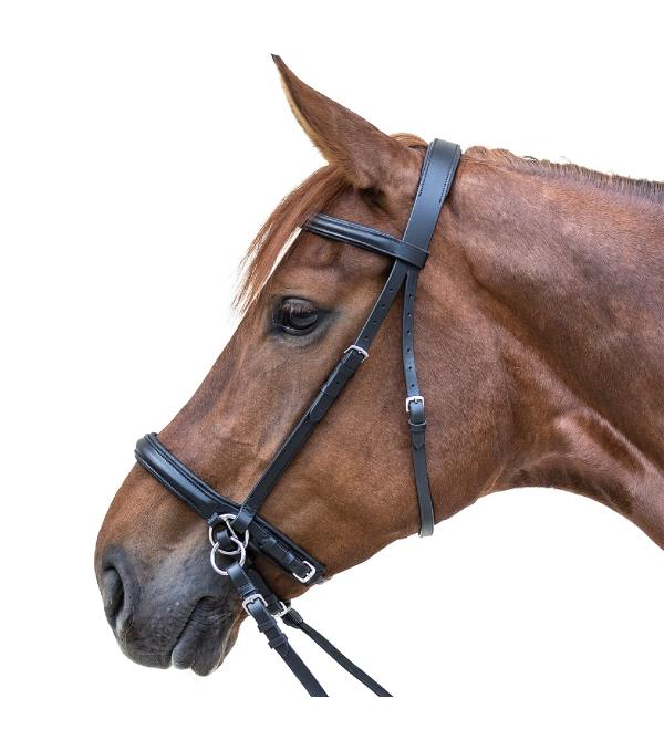 WALDHAUSEN Star Bridle Bitless Black Thoroughbred