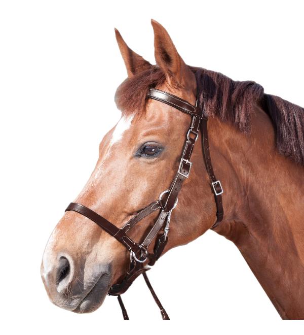 WALDHAUSEN Star Bridle Bitless Two Brown Warmblood